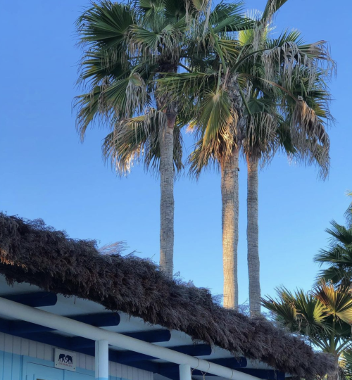 Captura de pantalla 2023-02-04 a las 19.59.06