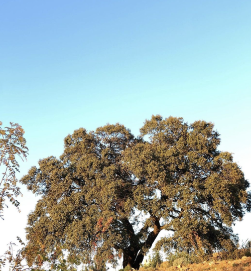 Captura de pantalla 2023-02-04 a las 20.03.33